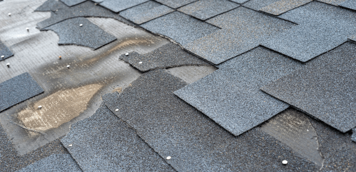 signs you need a new roof: homeowner's guide featured image