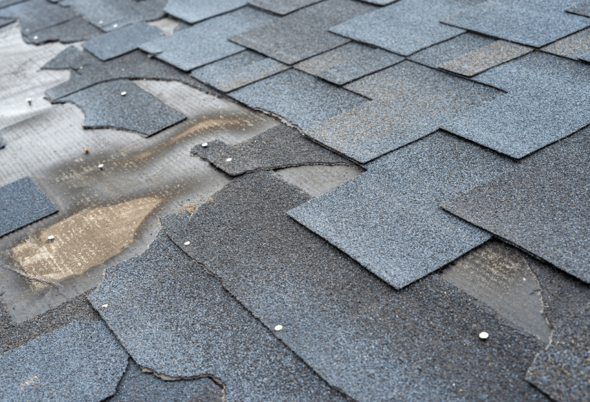 signs you need a new roof: homeowner's guide featured image