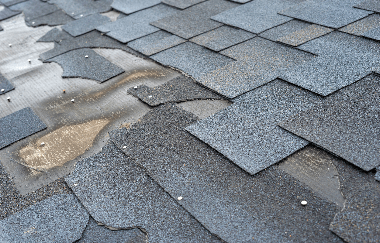 signs you need a new roof: homeowner's guide featured image